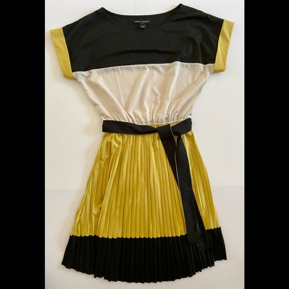 SANDRA ANGELOZZI Color Block Accordion Dress Medium - Picture 1 of 8
